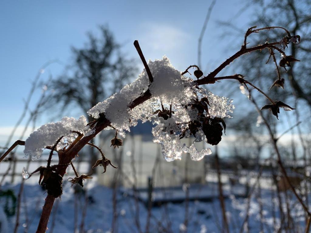 Ostseestuev Boiensdorf Екстер'єр фото